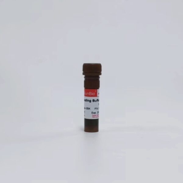 2× RNA Loading Buffer(+EB)