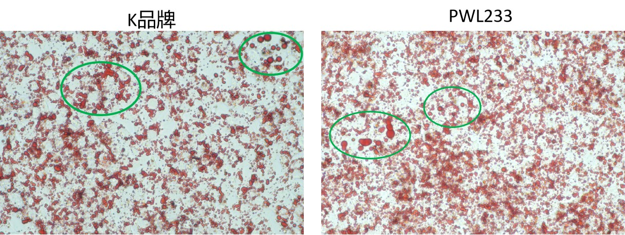 棕榈酸钠/油酸钠高脂复合添加剂
