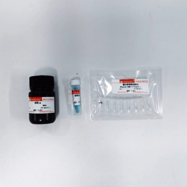 即用型BCA快速蛋白定量试剂盒(0.02-10mg/mL) - 图片 2