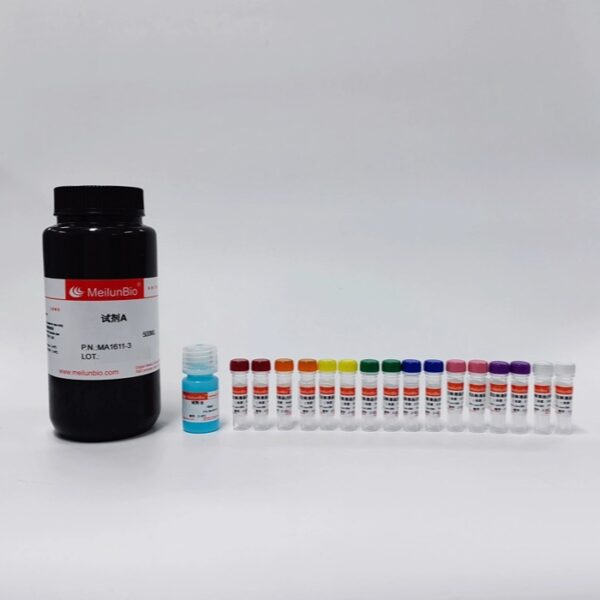 即用型BCA快速蛋白定量试剂盒(0.02-10mg/mL) - 图片 4