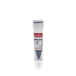预染蛋白分子量标准marker(10-180KD)