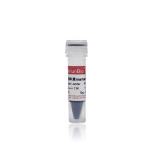 预染蛋白分子量标准marker(10-250KD)