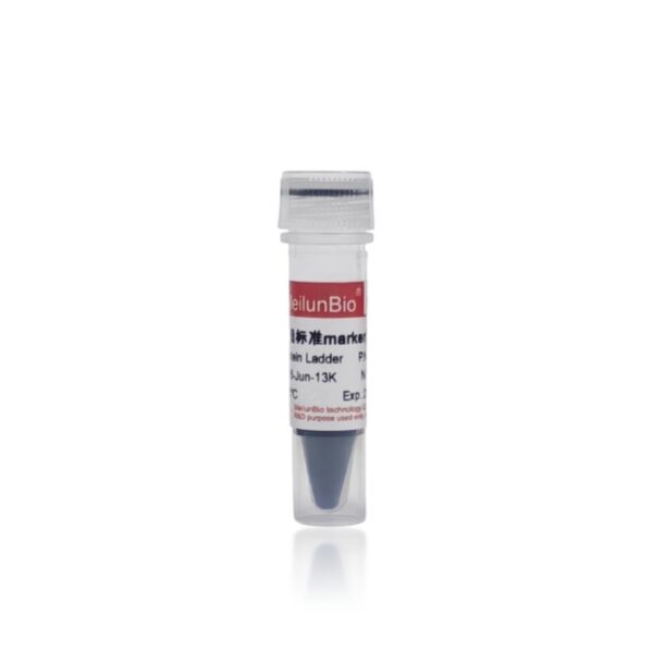 预染蛋白分子量标准marker(10-250KD)