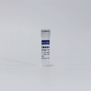 Meilunbio®原代巨噬细胞专用转染试剂