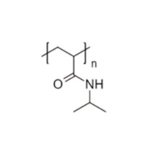 聚(N-异丙基丙烯酰胺) (Mw~50kDa)