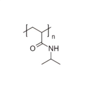 聚(N-异丙基丙烯酰胺) (Mw~90kDa)