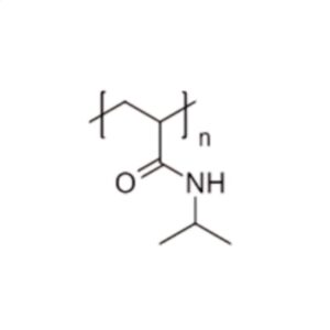 聚(N-异丙基丙烯酰胺) (Mw~120kDa)