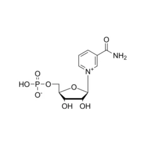 烟酰胺单核苷酸