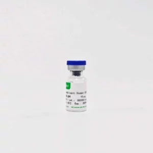 Recombinant Human Activin A