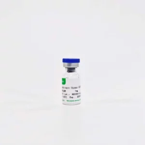 Recombinant Anti-Human CD16 mAb