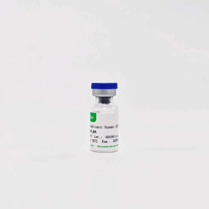 Recombinant Rat GM-CSF