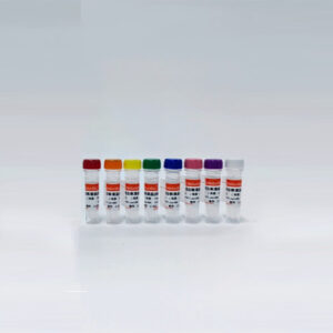 即用型蛋白定量标准品(BSA, 0.02-10mg/mL)