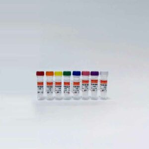 即用型蛋白定量标准品(BSA, 0.02-2mg/mL)