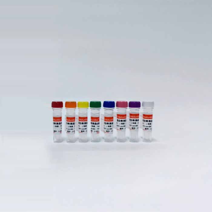即用型蛋白定量标准品(BSA, 0.02-2mg/mL)