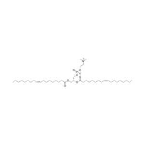DOPC(1,2-二油酰磷脂酰胆碱)