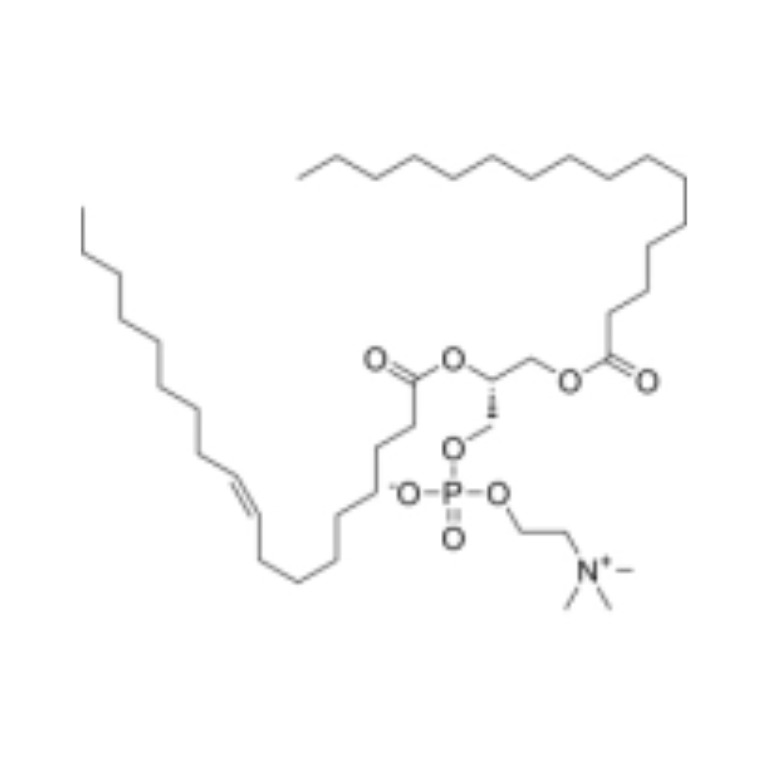 POPC(1-棕榈酰-2-油酰磷脂酰胆碱)
