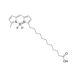 BODIPY 500/510 C1, C12（脂肪酸绿色荧光探针）