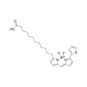 BODIPY 558/568 C12（脂肪酸红色荧光探针）