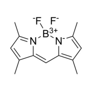 BODIPY 505/515（脂滴绿色荧光探针）