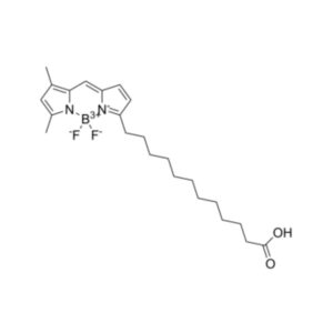 BODIPY FL C12（脂肪酸绿色荧光探针）