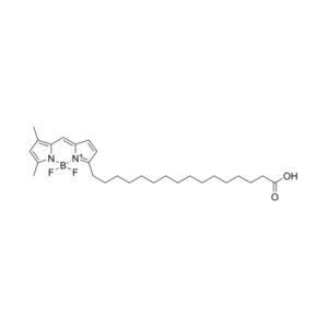 BODIPY FL C16（脂肪酸绿色荧光探针）