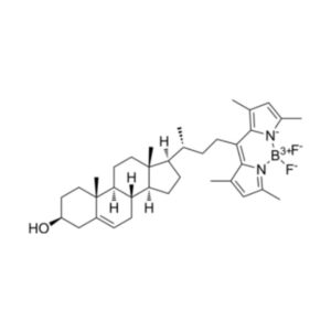 BODIPY-Cholesterol（胆固醇绿色荧光探针）