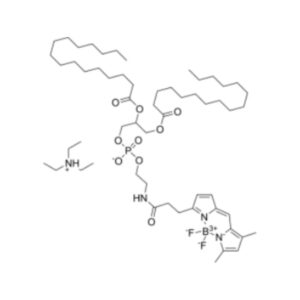 BODIPY FL-DHPE（磷脂绿色荧光探针）